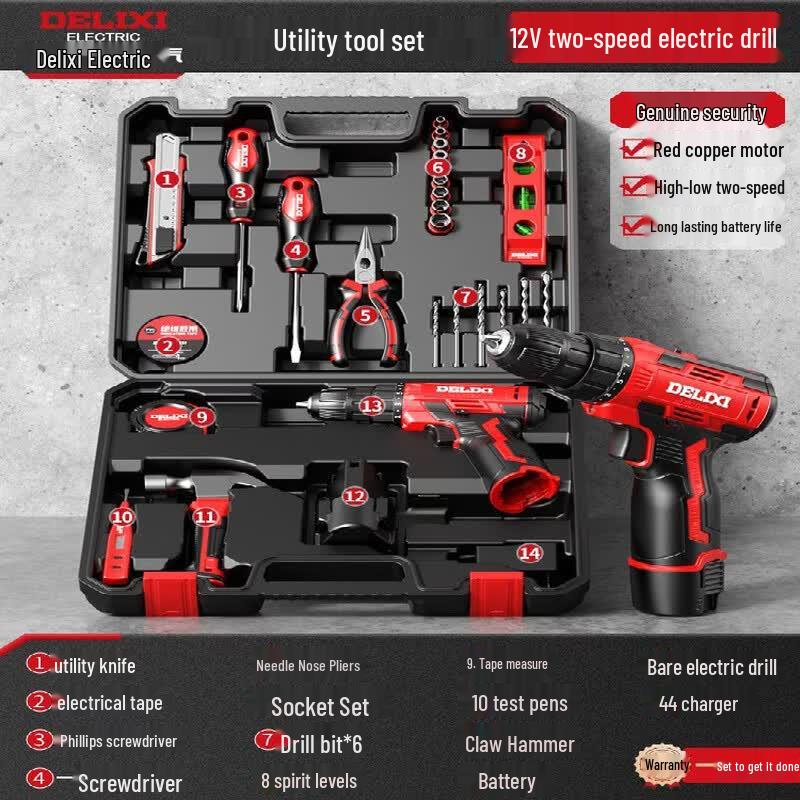 DELIXI Lithium-Ion Cordless Drill & Tool Kit CN plug (adapter included)