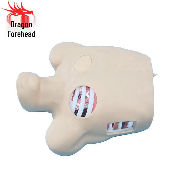 

Lung Puncture & Drainage Chest Cavity Training Model