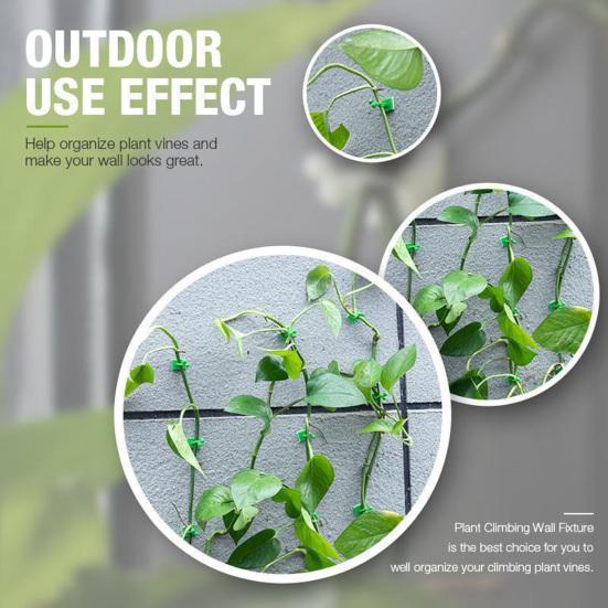 10 ks/sada Úspora místa Vrtačka s klipem pro rostliny Zdarma Flexibilní lezecká stěna Hák na vinnou révu pro zelené rostliny