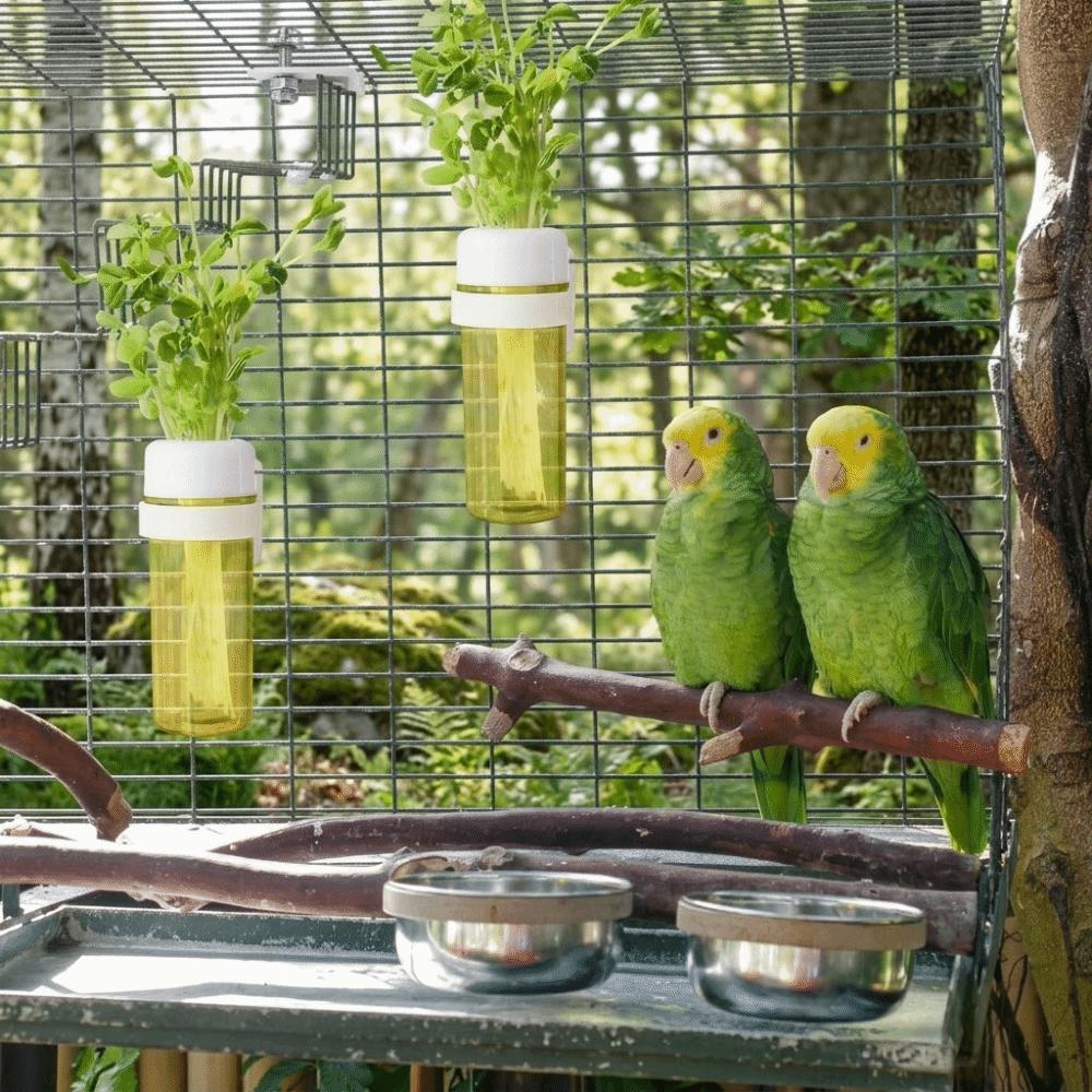 Contenitore per Acqua per Pappagalli Pianta Idroponica Conservatore Cibo per Uccelli Domestici Gabbia per Cocorite