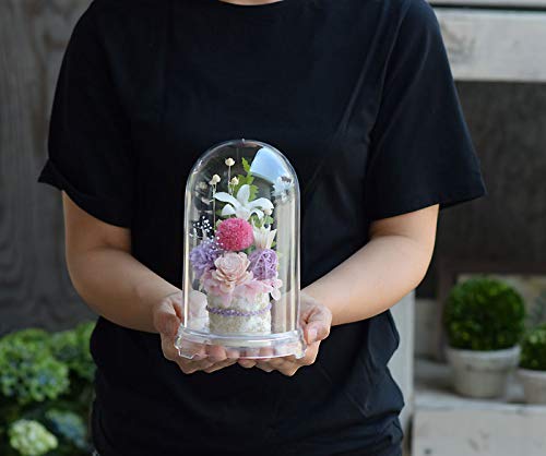 [Pretty Mermaid] Preserved Flowers, Dome, Buddhist Altar Offering, Sympathy Flower Arrangement, Chiho, Pink, Purple