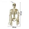 2pcs/set Halloween Skeleton Decorations Plastic  Human Bones Props for Party Home Ghost Theme Playful Couple Ghost Bride Groom
