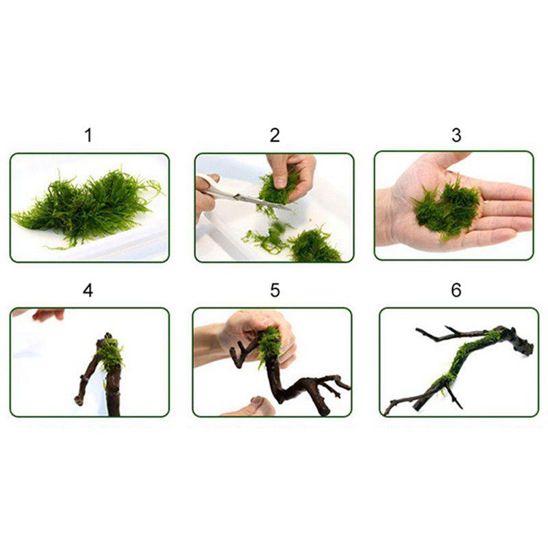 DIY Aquarium Landscape Moss Line Fern String Wire Transparent Grass Aquatic Live Plant