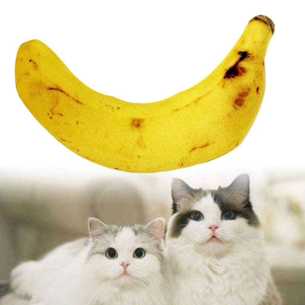 Interaktives Bananen-Spielzeug mit Katzenminze für Haustierkatzen 5 Stück Plüsch-Knabber- und Zahnschleifspielzeug für die Indoor-Beschäftigung von Haustierkatzen