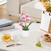 Plastic Bonsai Desktop Ornament Artificial Flower No-fading Butterfly Orchid Multicolor White Flowerpot Fake Butterfly Flower