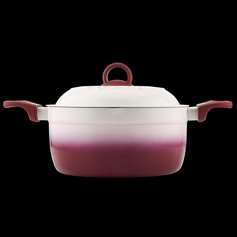 

COSTA Alloy Stew Pot