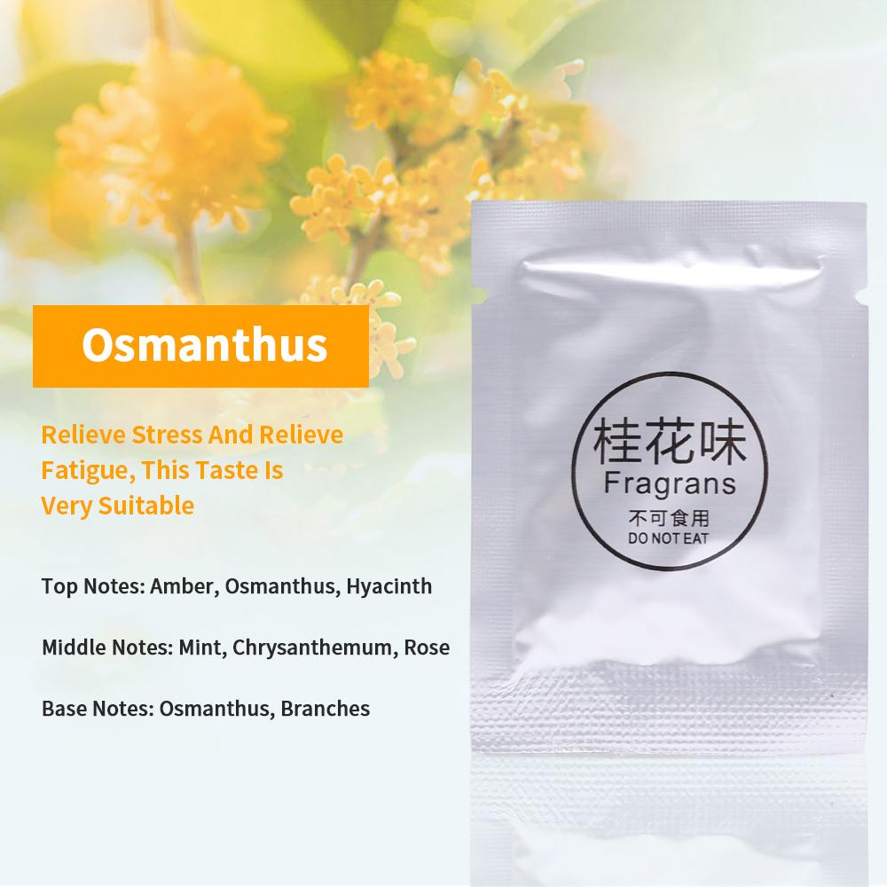 Auto Aromatherapie Clip Dufttabletten Set Auto Luftauslass Windrichtungs-Paddel Versteckter Duftclip Feste Aromatherapie Streifen