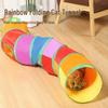 Rainbow Cat Tunnel & Teaser Toy - Self-Amusement, Boredom Relief, Physical Exercise for Kittens