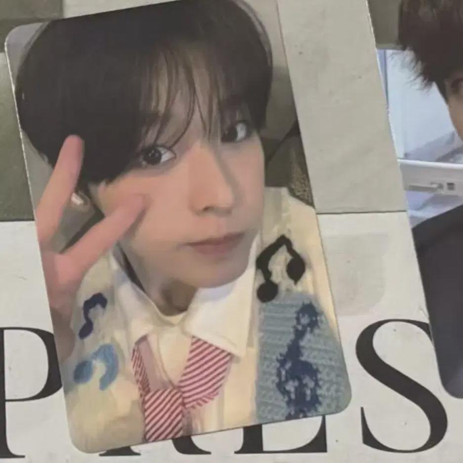 Nct Wish Riku Songbird All Md Photocard