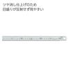 KOKUYO Stainless Steel Straight Ruler Matte 30cm TZ-RS30