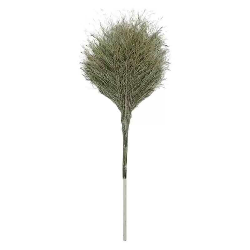 Qi Huang Everyday Household Broom