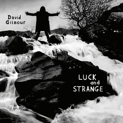 LP Record DAVID GILMOUR - Luck And Strange 19802804611 Sony Music 2024 Europe Rock