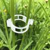 Tomato Vine Support Clips 80 Pieces Plant Climbing Fixing Clips for Trellis Greenhouse Gardening