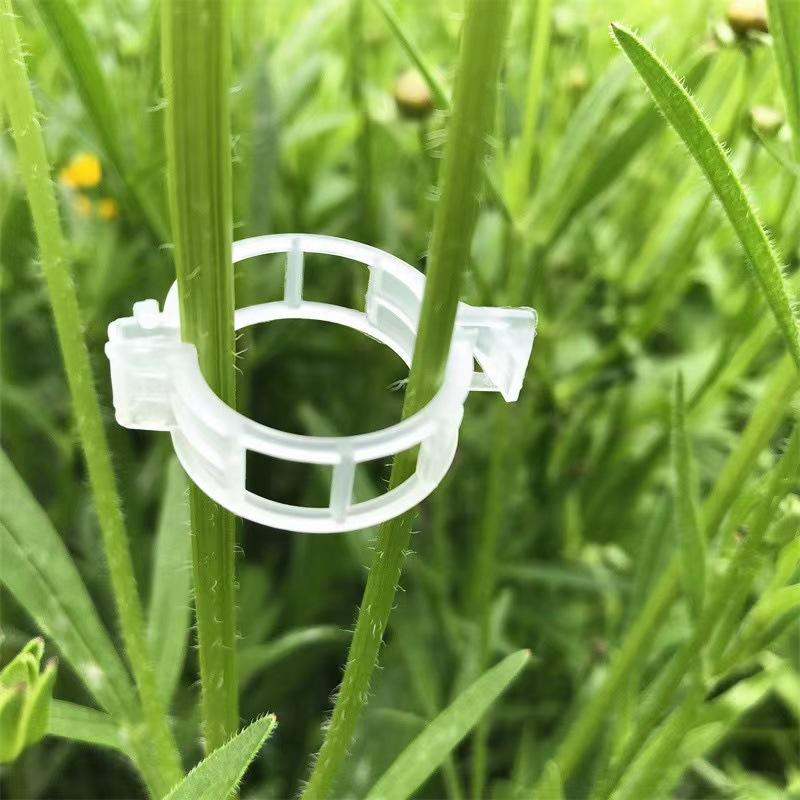 Tomato Vine Support Clips 80 Pieces Plant Climbing Fixing Clips for Trellis Greenhouse Gardening