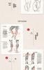 Comprehensive Guide To Human Anatomy: Art and Sketching Reference for Beginners