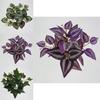Ipomoea Batatas Fake Plant Wall Decor With Realistic Leaf Bundles For Indoor Decoration