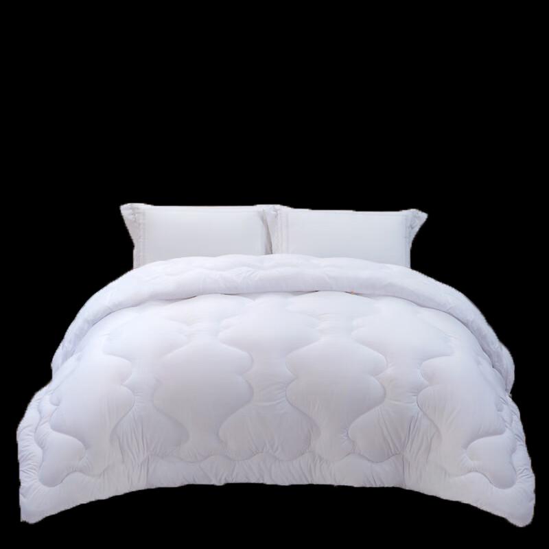 FUANNA Enjoy Warm Core Fiber Quilt