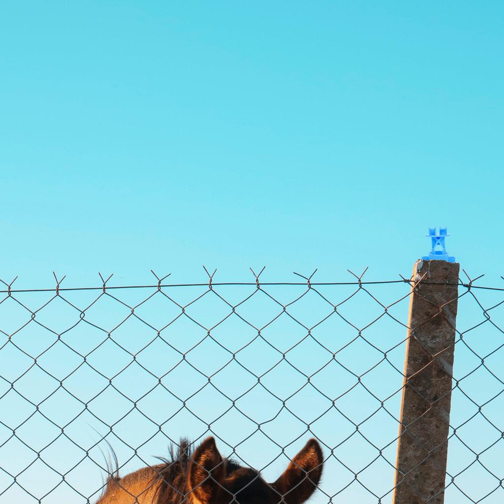 50Pcs Small Fence Insulators Accessories Electric Fence DIY Insulators for Farm