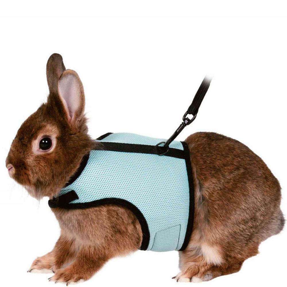 Rabbit Harness Leash Set Small Pet Chest Strap Adjustable Soft Mesh Harness with Leash Rat Vest Leashes Set Portable Elastic