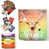Enchanting Tarot Card English Deck With Stunning Visuals And Vivid Colors For Magic Games