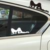 Car Sticker Sexy Woman Silhouette Car Decal Set Sexy Woman Silhouette Design Sticker for Car Body, Window & Auto Accessories