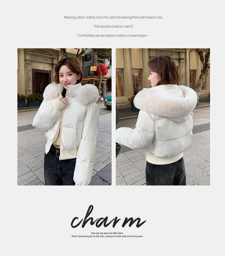 Women's Short Large Fur Collar Hooded Warm Cotton-padded Jacket