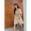 Women's Boho Embroidered V-Neck Vacation Midi Dress