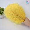 25-30Cm Colorful Ostrich Feathers, Wedding Table Flower Decoration, Wedding Decoration, Stage Performance Props Diy Jewelry