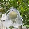 Fruit Protection Bags Drawstring Closure Mesh Fruit Bag Reusable Fine Mesh Covers for Tomatoes Strawberries Vegetables Protection from Insects Birds