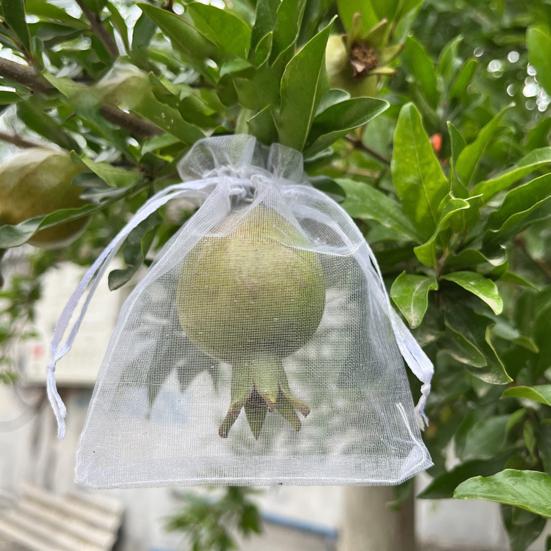 Fruit Protection Bags Drawstring Closure Mesh Fruit Bag Reusable Fine Mesh Covers for Tomatoes Strawberries Vegetables Protection from Insects Birds