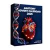 Anatomy Advent Calendar 24 Days Body Parts Countdown Calendar Gift Box with 24 Miniature Organ Acrylic Hanging Ornament Nurses Anatomy Lovers Gift