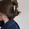 2024 Women's Metal High Ponytail Claw Clip: New Shark Style Temperament Half-Up Hair Accessory