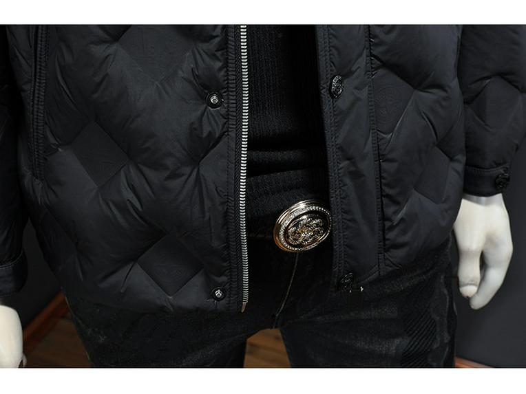 Men's 2025 Winter Slim-Fit Stand Collar Down Jacket - Trendy European Design, Duck Down, Warm Outerwear