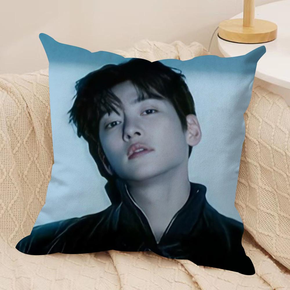 JJi CChang Wook Cushion Cover Silky Short Plush DoubleSided Printed Pillow Case for Sofa All Seasons Home Decor Gift