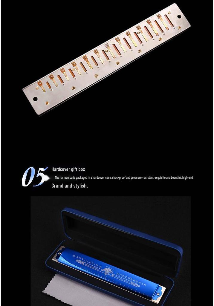 Swan 24-Hole Harmonica, C Key, Double Reed for All Levels – Perfect for Practice, Performance & Competition