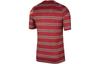 Nike Soccer Jerseys Men's Red Moderate DB0254-678