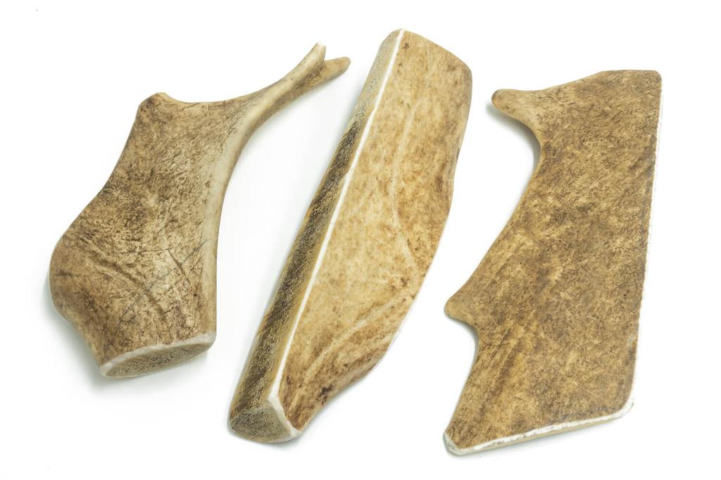 4DOGS Fallow Deer Antler Chew Toy, Size L, Hard