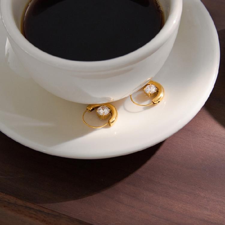 Delicate Zircon Earrings Fashion Ear Accessory Stainless Steel Jewelry Pendant Earrings Present for Modern Enthusiasts