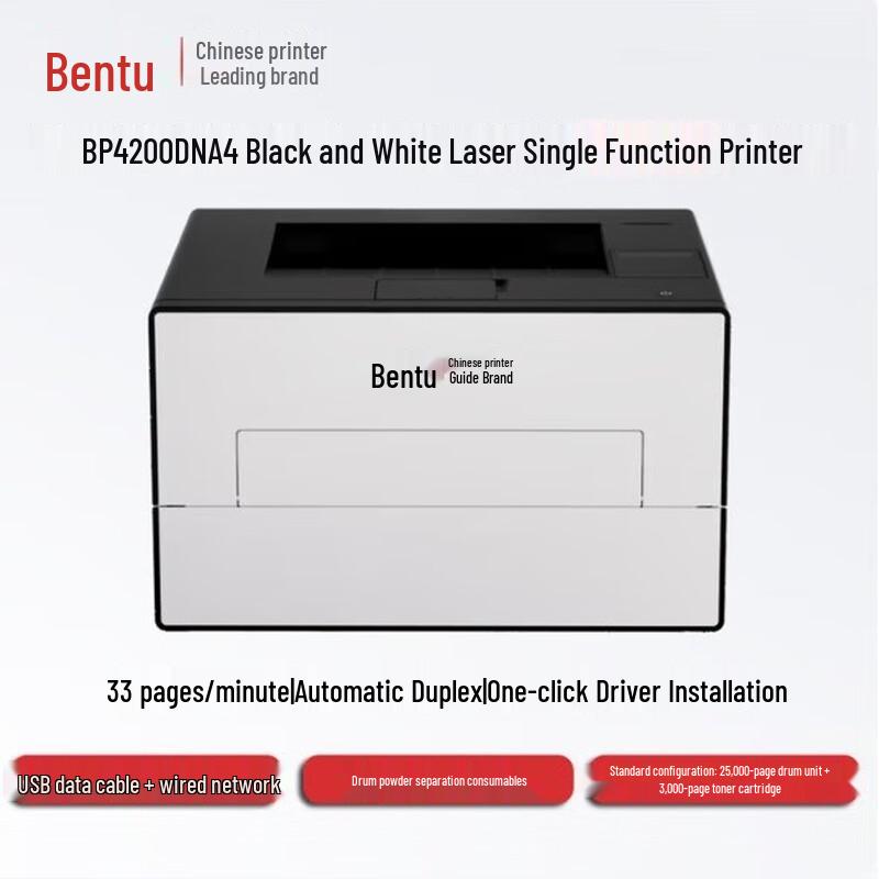 Pantum BP4200DN A4 Black & White Laser Printer CN plug (adapter included)