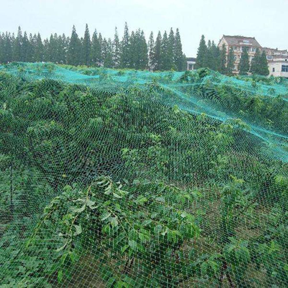 Multiple Sizes Melon Fruit Morning Glory Vine Net Flower Cucumber Trellis Netting Plant Nets Climbing Nylon Protection Net
