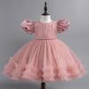 Baby Fluffy Summer Dress: Princess Skirt for Girls' Birthday, Banquet, or Performance.
