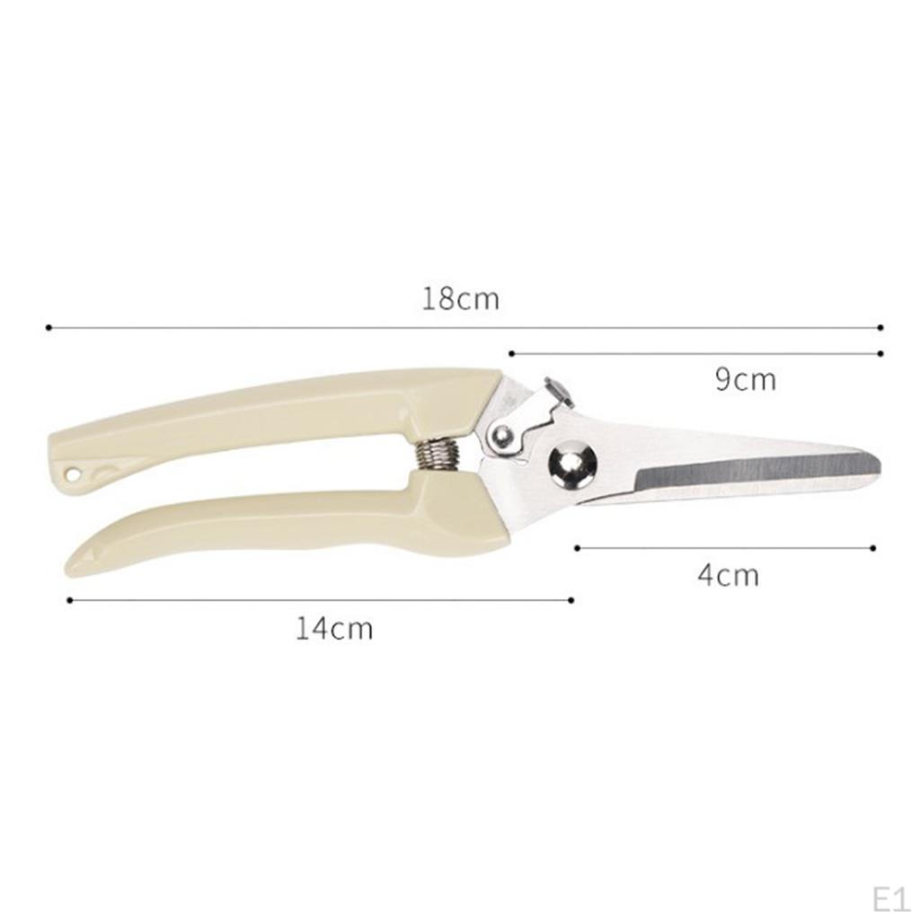 Garden Pruning Shears Pruners Plant Cutter Scissor Hand Tools