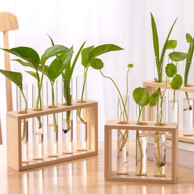 3/5 Test Tube Exquisite Hydroponic Glass Flower Vase with Wooden Stand Desktop Plant Vase for Home Office Decoration
