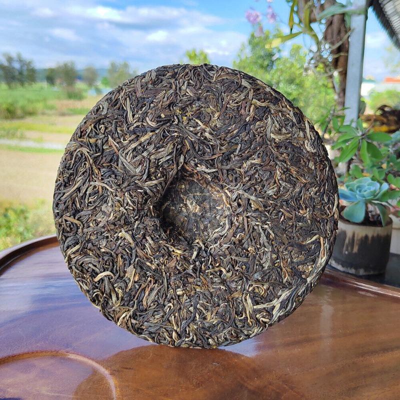 Scraping Walled Pu'er Teekuchen Yiwu Ancient Tree Raw Tea Erster Frühling Yunnan Tee