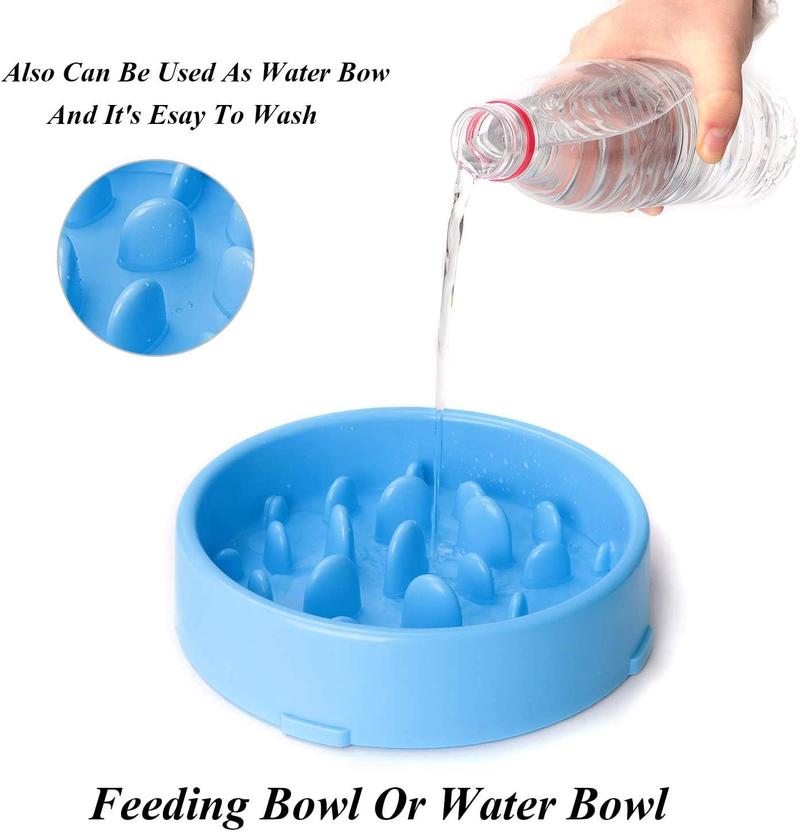 Dog Slow Manneger Bowl Anti Aller Pet Rente Feeding Food Durable Dishes Preventing Choking Healthy Design Healthy Bowl Design | Dog Food