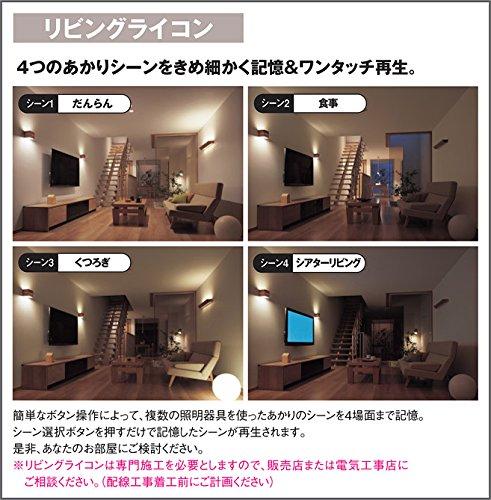 Panasonic Living Licon 5 Multi High Performance White NQ28752WK