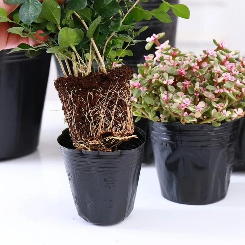 500pcs/set New Disposable Plant Propagation Pots Plastic Black Seedling Cup Plant Nutrition Cups Garden Tools