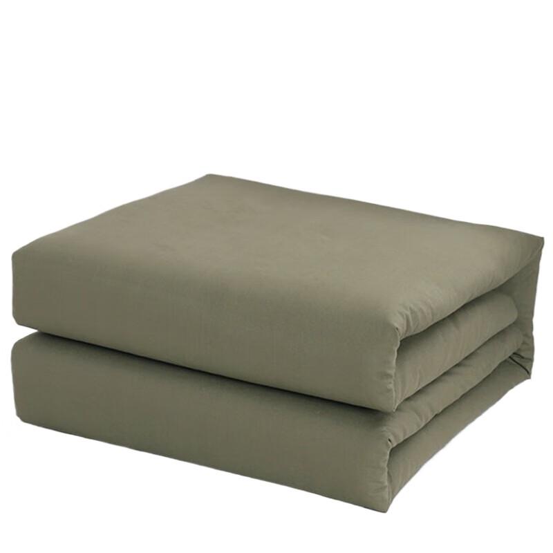 Jingyi Warm Single Quilt