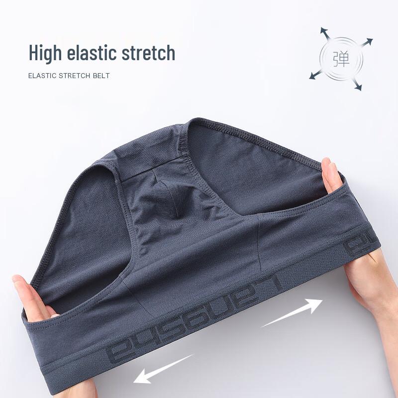 Langsha Men's Cotton Antibacterial Mid-Waist Briefs