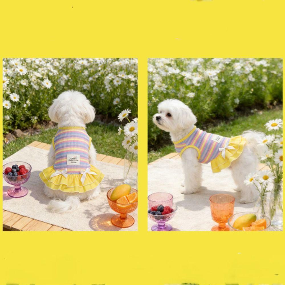 Ruffle Striped Dog Rainbow Striped Skirt Comfortable Dog Cooling Vest Dog Summer Vest Casual Wear